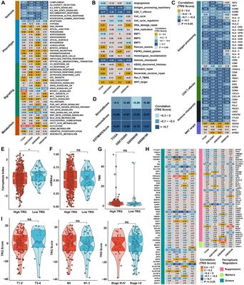 Systematic evaluation of tumor microenvironment and construction of a machine learning model to predict prognosis and immunotherapy efficacy in triple-negative breast cancer based on data mining and sequencing validation